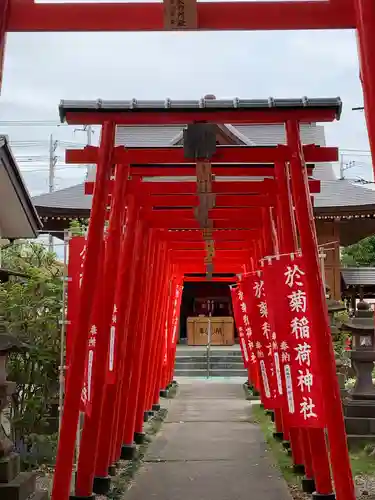 於菊稲荷神社の鳥居