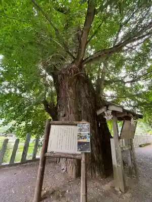 素盞雄神社(奈良県)