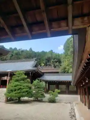 近江神宮の本殿・本堂