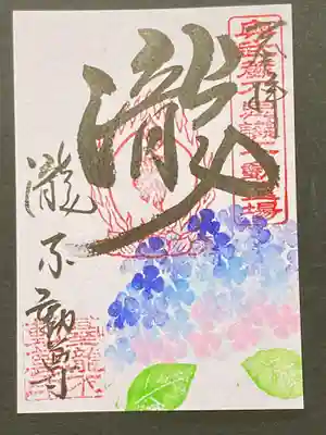 下からの紫陽花は、どうでしょう?