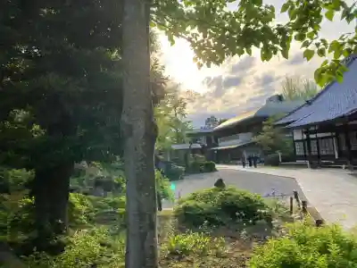 達磨寺(群馬県)