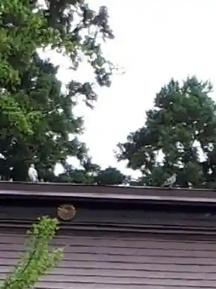 鎮守府八幡宮の動物