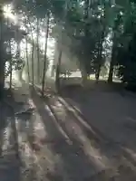 伏木香取神社の自然