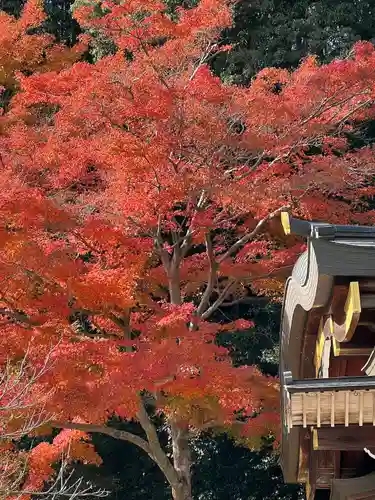 高麗神社(埼玉県)