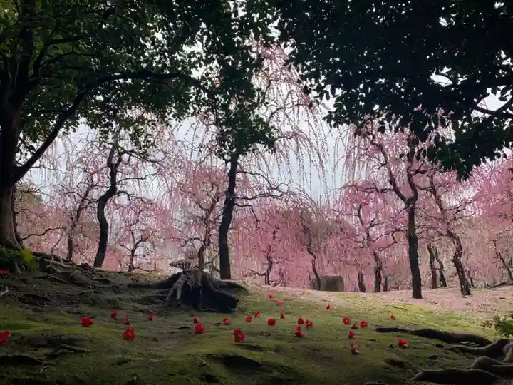 城南宮(京都府)