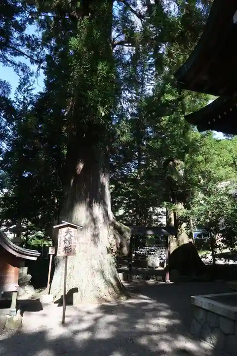 森水無八幡神社(岐阜県)