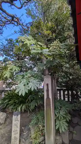 元祇園梛神社・隼神社(京都府)
