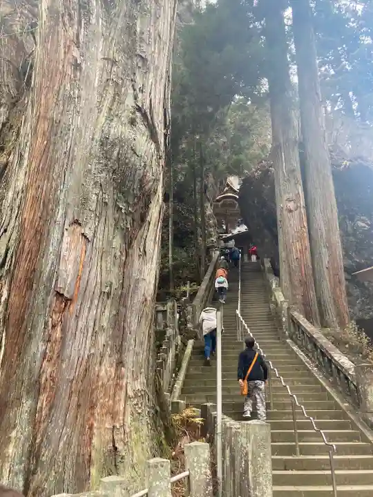 榛名神社の自然