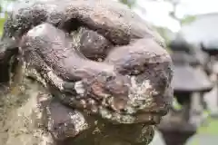 八坂神社の狛犬