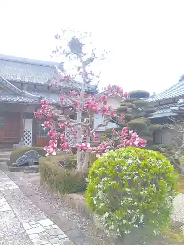霊鷲院（曼陀羅寺塔頭）(愛知県)