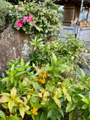 羽衣町厳島神社（関内厳島神社・横浜弁天）(神奈川県)