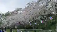 香取神宮の{uncategorized: "未分類", other: "その他", undefined: "問題あり", building: "その他建物", grave: "お墓", sacred_gate: "鳥居", guardian: "狛犬", statue: "像", buddha: "仏像", history: "歴史", nature: "自然", garden: "庭園", animal: "動物", pagoda: "塔", temizu: "手水舎", mountain_gate: "山門・神門", sanctuary: "本殿・本堂", subordinate: "末社・摂社", art: "芸術", scenery: "景色", jizo: "地蔵", ema: "絵馬", goshuin: "御朱印", omikuji: "おみくじ", items: "授与品その他", amulet: "お守り", goshuincho: "御朱印帳", eats: "食事", festival: "お祭り", votive_dance: "神楽", shichigosan: "七五三参", wedding: "結婚式", experience: "体験その他", initially: "初詣", around: "周辺", anti_infection: "感染症対策"}