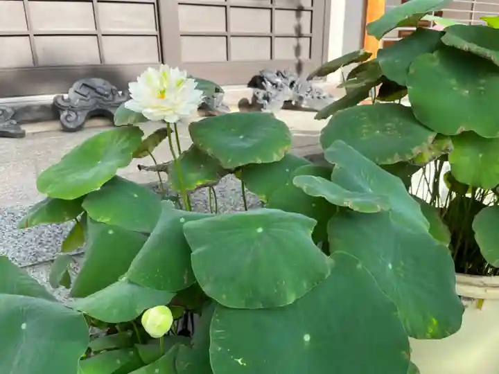 松本山 地福禅寺(滋賀県)