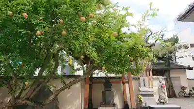 真源寺（入谷鬼子母神）(東京都)