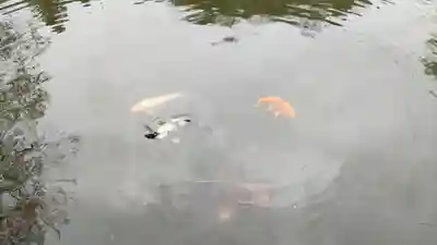 本経寺(栃木県)