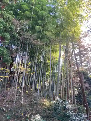 円覚寺(神奈川県)