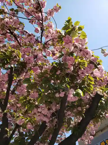 久富稲荷神社(東京都)