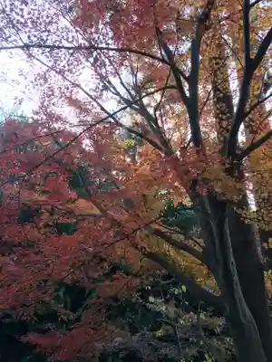 清水寺(京都府)