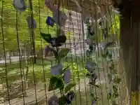 彌彦神社 (伊夜日子神社)の手水舎