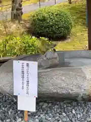 妙法寺の手水