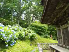 国宝 大法寺(長野県)