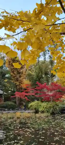 熱田神宮(愛知県)