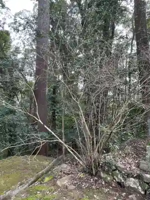 朝光寺(兵庫県)