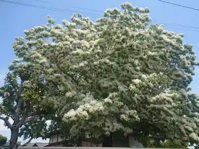 観音寺(愛知県)