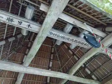蛇口成瀬神社(愛知県)