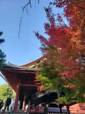 清水観音堂(東京都)