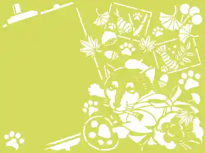 9月より授与予定です。