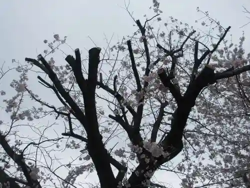 東光寺(神奈川県)