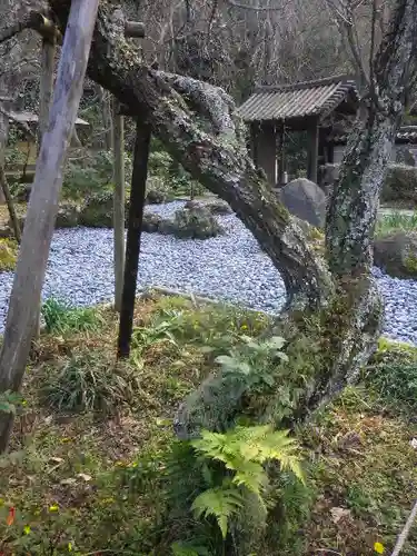 瑞泉寺の庭園