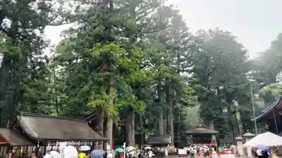 日光二荒山神社(栃木県)