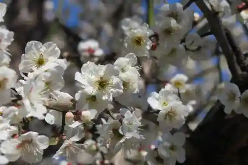 大松禅寺(京都府)