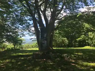 八幡神社(山形県)