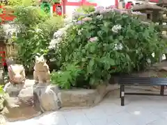 尼崎えびす神社(兵庫県)