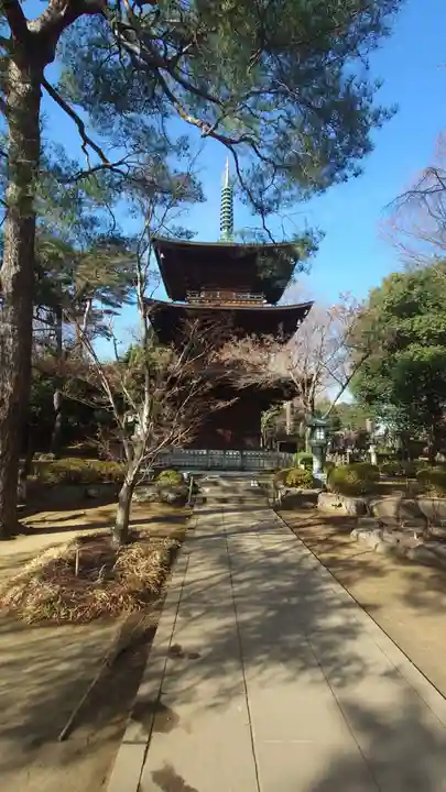豪徳寺(東京都)