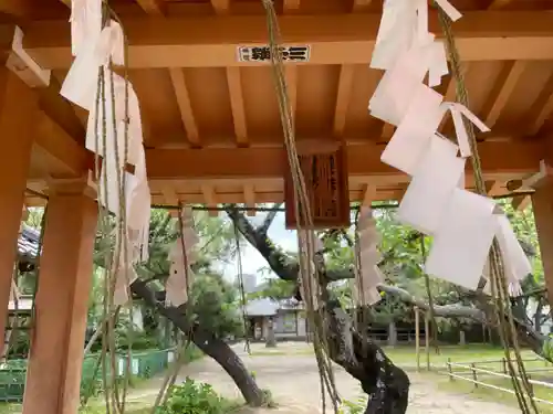 手児奈霊神堂(千葉県)