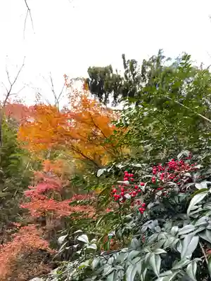 平山観音院の自然