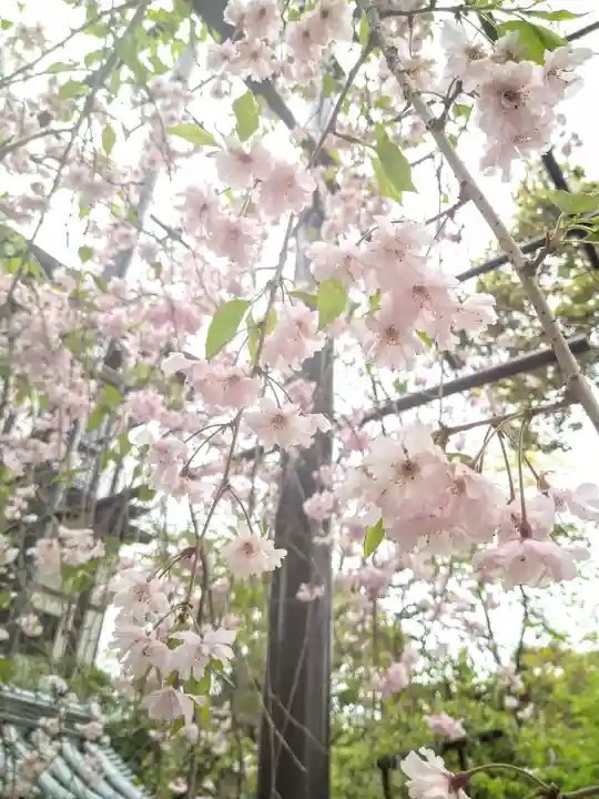 阿智神社の庭園