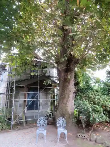 今市報徳二宮神社のその他建物