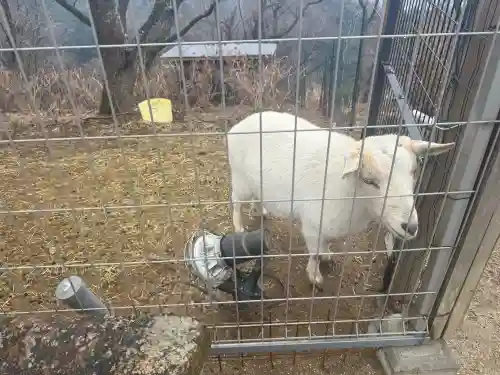 楽法寺（雨引観音）の{uncategorized: "未分類", other: "その他", undefined: "問題あり", building: "その他建物", grave: "お墓", sacred_gate: "鳥居", guardian: "狛犬", statue: "像", buddha: "仏像", history: "歴史", nature: "自然", garden: "庭園", animal: "動物", pagoda: "塔", temizu: "手水舎", mountain_gate: "山門・神門", sanctuary: "本殿・本堂", subordinate: "末社・摂社", art: "芸術", scenery: "景色", jizo: "地蔵", ema: "絵馬", goshuin: "御朱印", omikuji: "おみくじ", items: "授与品その他", amulet: "お守り", goshuincho: "御朱印帳", eats: "食事", festival: "お祭り", votive_dance: "神楽", shichigosan: "七五三参", wedding: "結婚式", experience: "体験その他", initially: "初詣", around: "周辺", anti_infection: "感染症対策"}