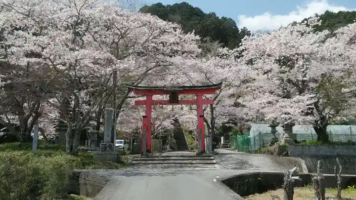 射手神社の鳥居