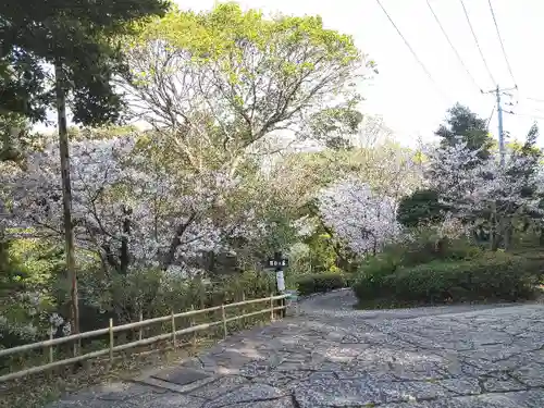 阿智神社の庭園