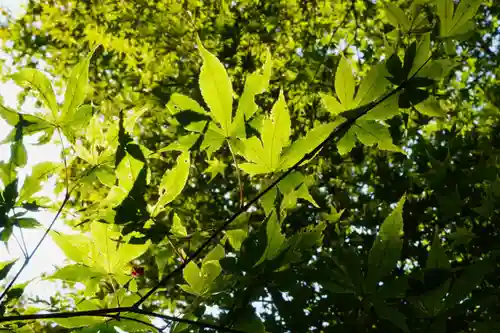 善法律寺(京都府)