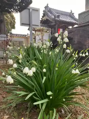 真言宗　善通寺派　薬王寺(香川県)
