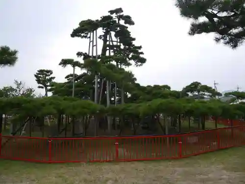 唐崎神社の建物その他