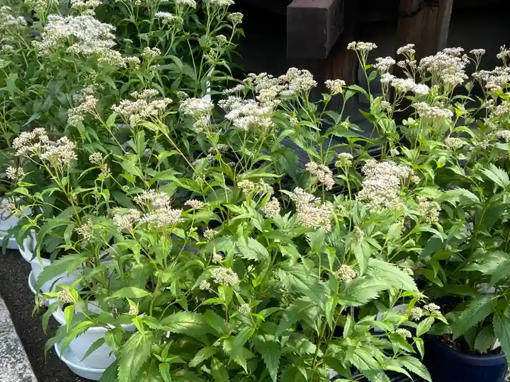 下御霊神社(京都府)