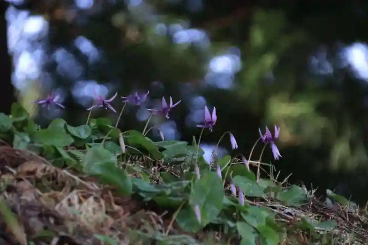 田村神社の自然